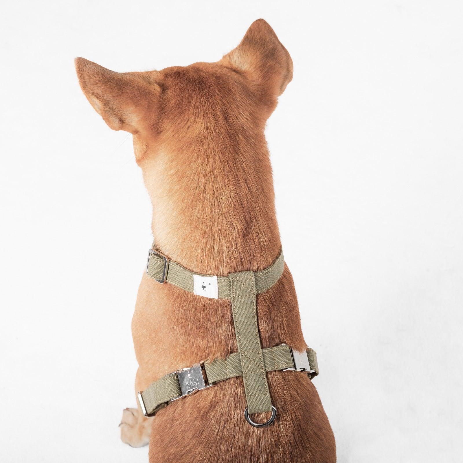 Dog Harness - Expat Life Style