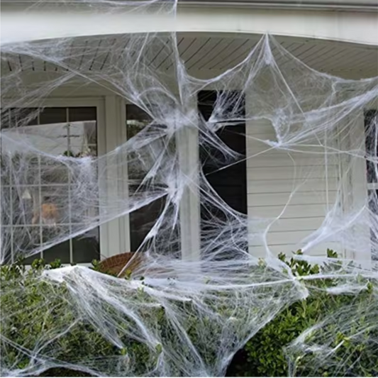 Large White Cobweb