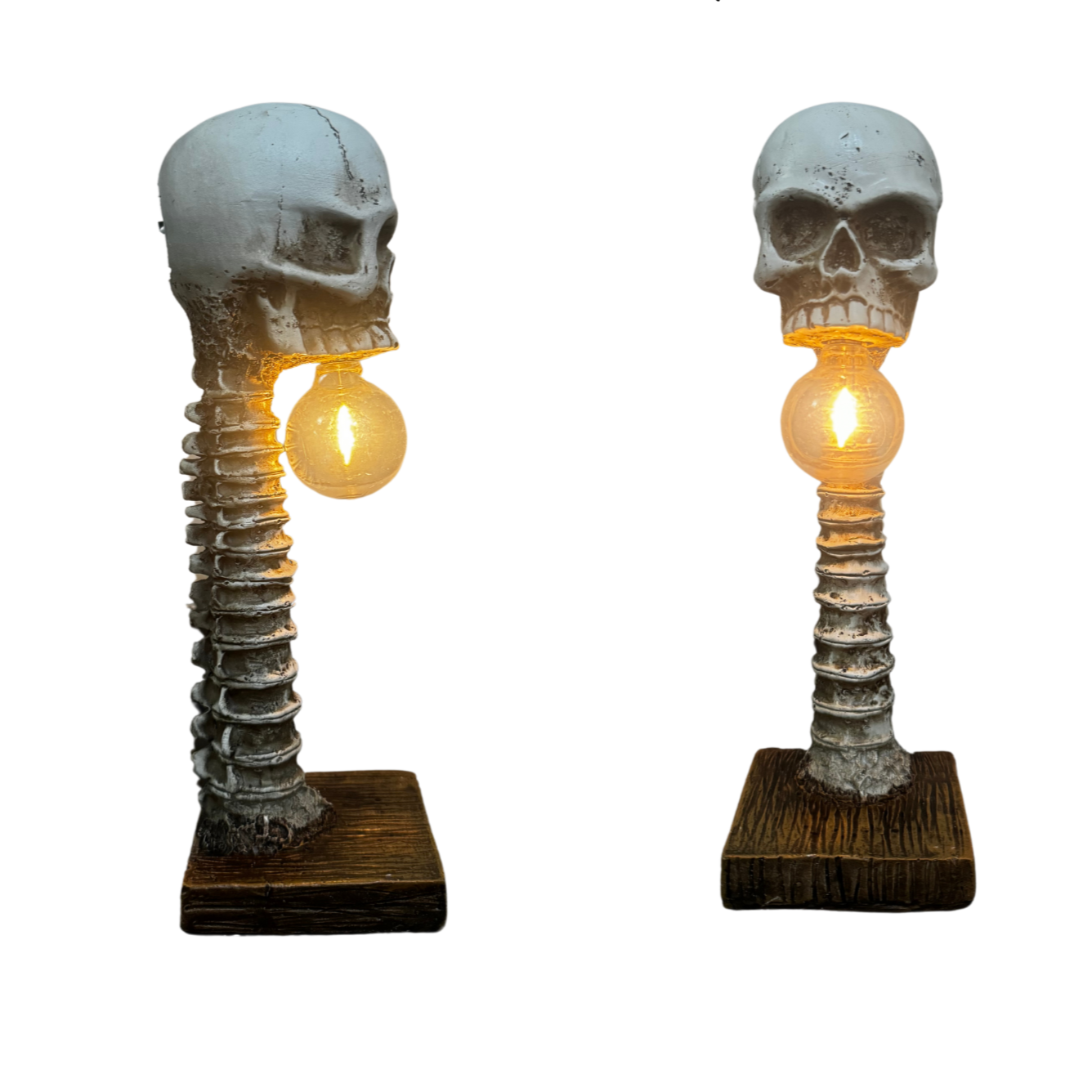 Skull Lamp