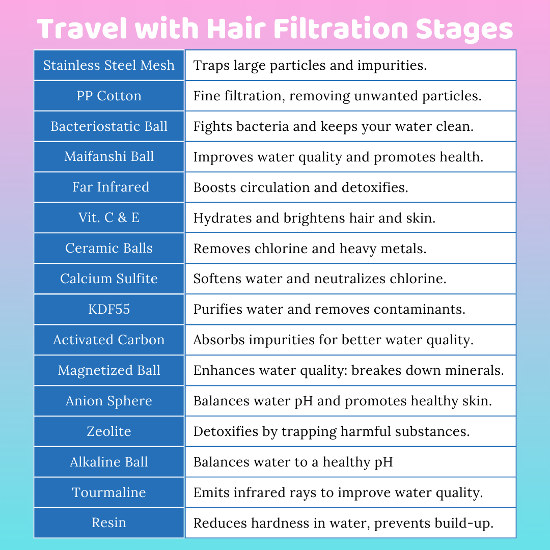 A list of what is inside the travel with hair shower filter