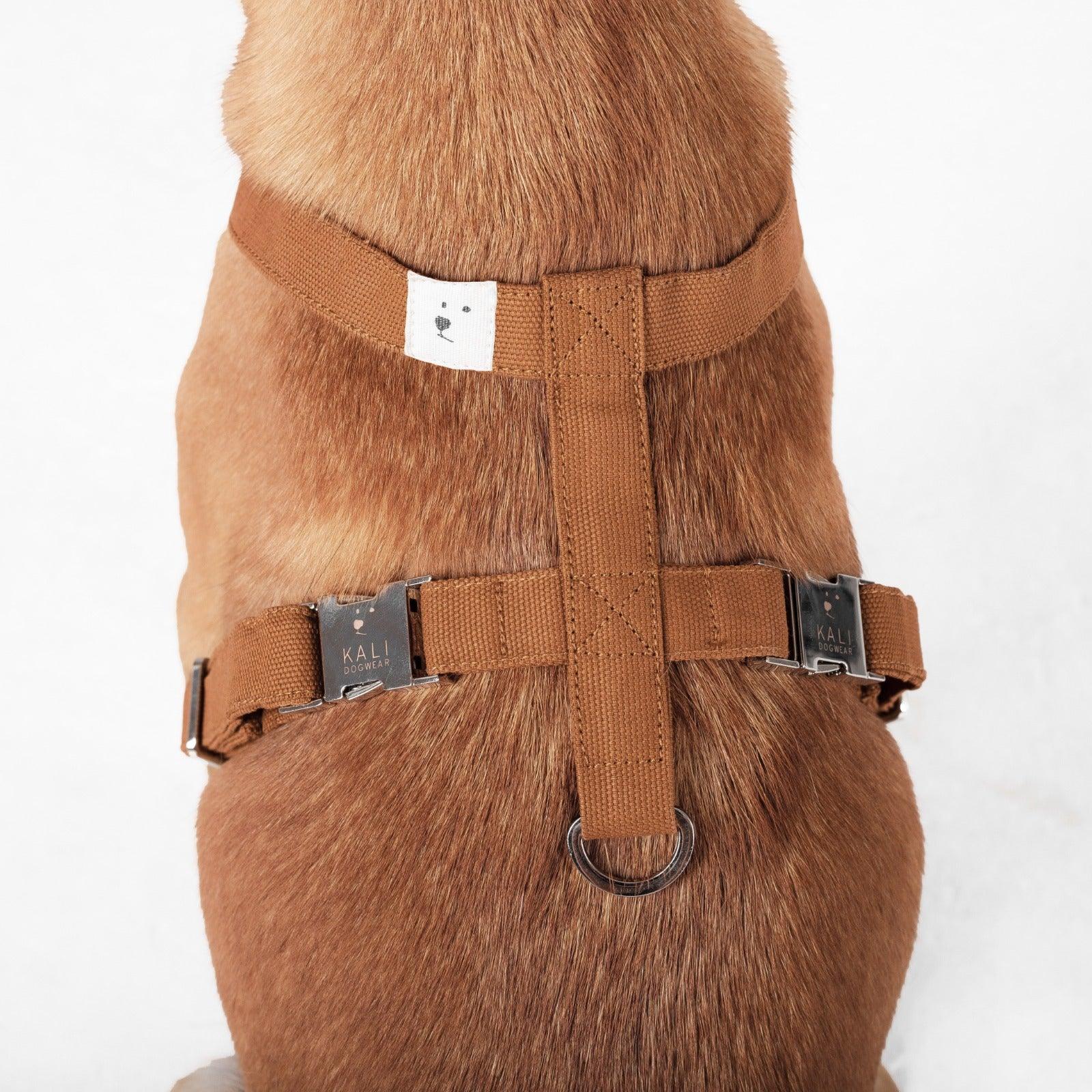 Dog Harness - Expat Life Style